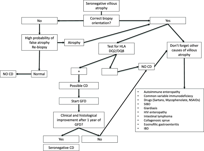 can giardia cause celiac disease