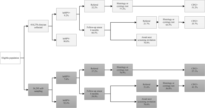 high risk hpv dna