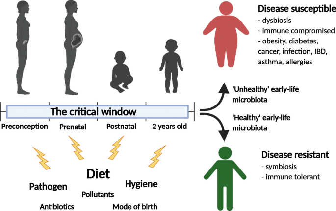 The impact of maternal and early life malnutrition on health: a  diet-microbe perspective | BMC Medicine | Full Text