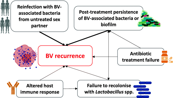 Bv From Sex