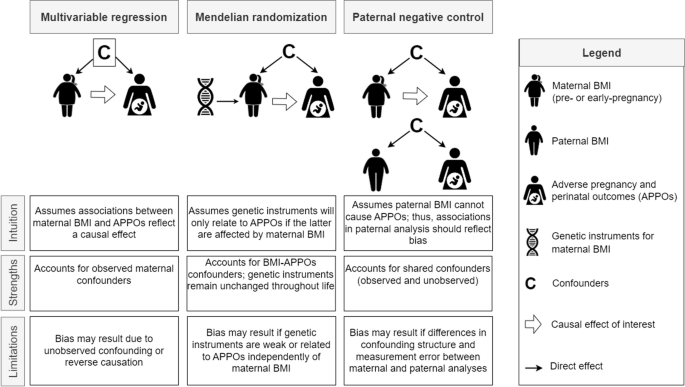 Integrating multiple lines of evidence to assess the effects of 
