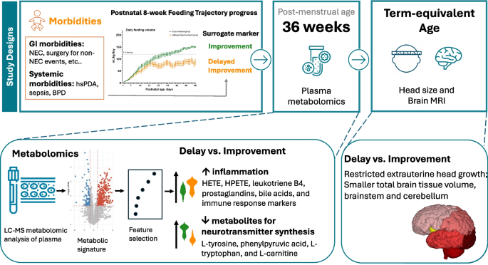 Proinflammatory state and metabolic dysregulation linking delayed feeding  progression to extrauterine restricted head growth in extremely preterm  infants | BMC Medicine