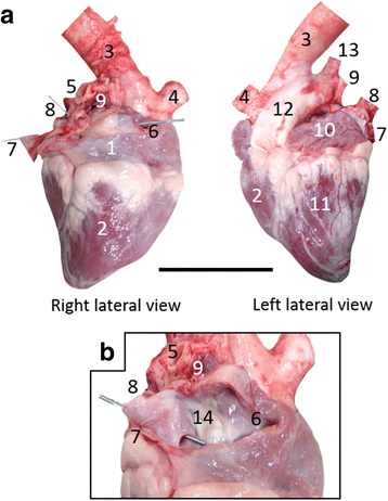 figure 8