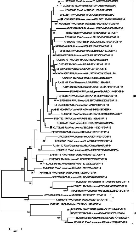 figure 11