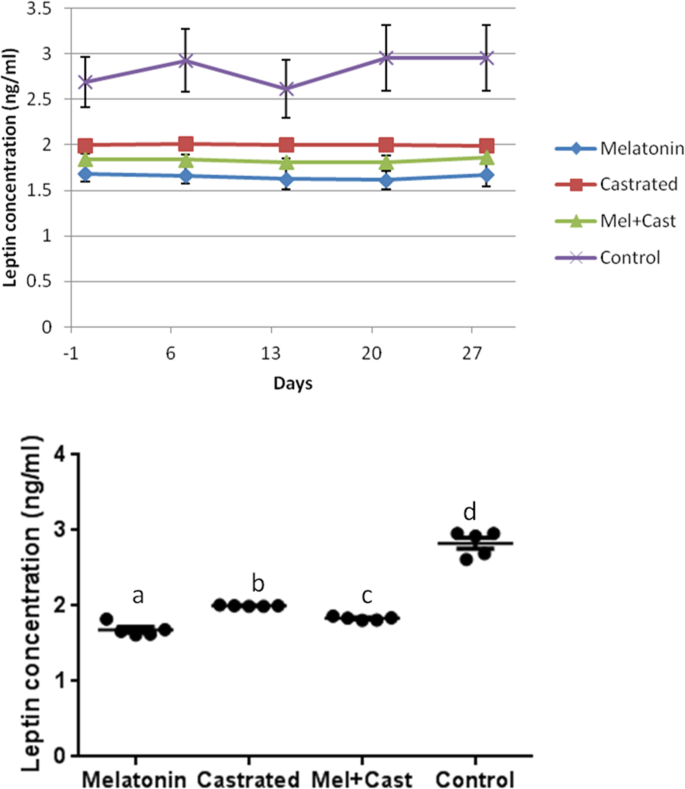 Changes in thyroid hormones, leptin, ghrelin and, galanin following oral  melatonin administration in intact and castrated dogs: a preliminary study  | BMC Veterinary Research | Full Text