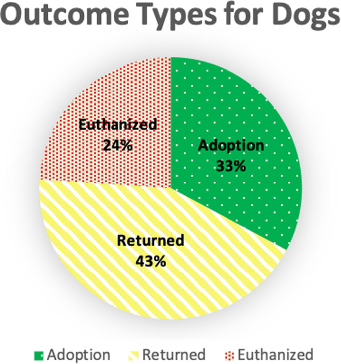 Increasing adoption rates at animal shelters: a two-phase approach to  predict length of stay and optimal shelter allocation | BMC Veterinary  Research | Full Text