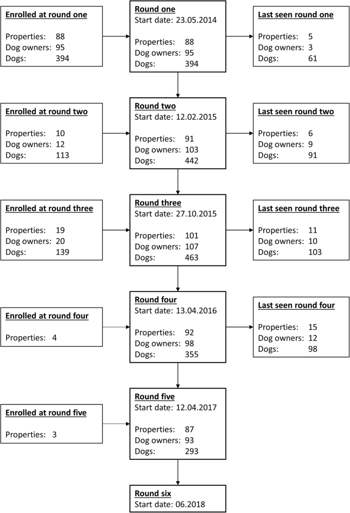 Teammate A Longitudinal Study Of New Zealand Working Farm Dogs I Methods Population Characteristics And Health On Enrolment Bmc Veterinary Research Full Text