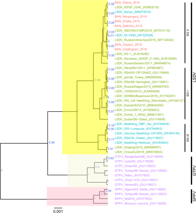 research paper on lumpy skin disease figure 4