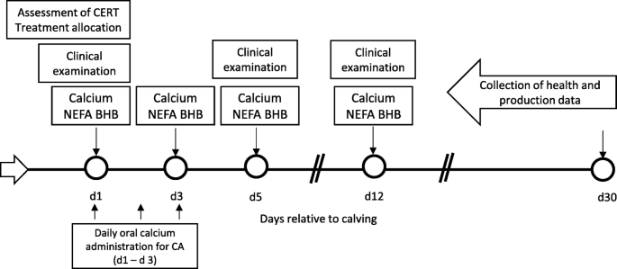 Effect of oral calcium administration on metabolic status and uterine  health of dairy cows with reduced postpartum rumination and eating time |  BMC Veterinary Research | Full Text