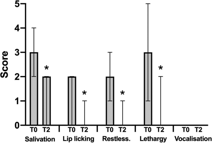 can dogs have zofran for vomiting