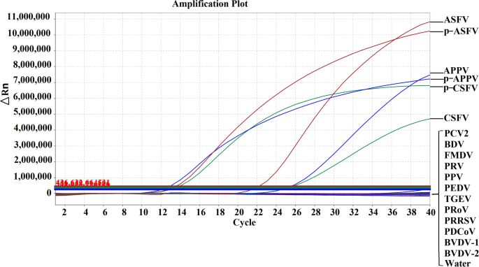 Development of a one-step multiplex qRT–PCR assay for the detection of  African swine fever virus, classical swine fever virus and atypical porcine  pestivirus | BMC Veterinary Research | Full Text