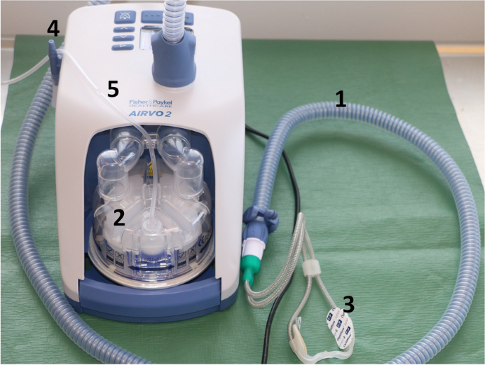 humidified oxygen nasal cannula