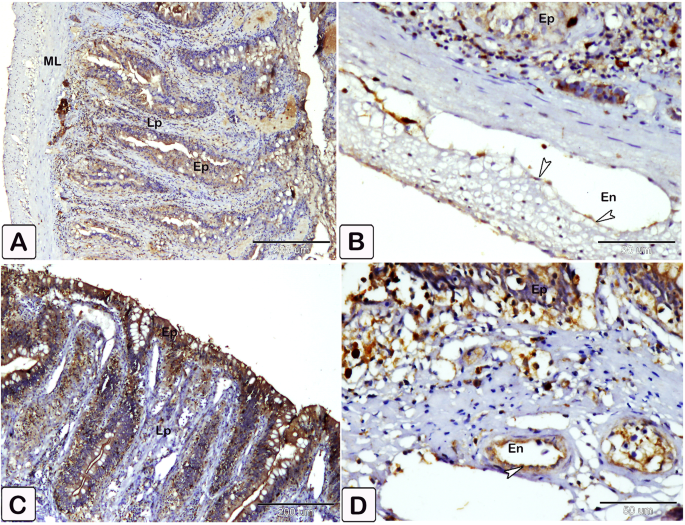 figure 23