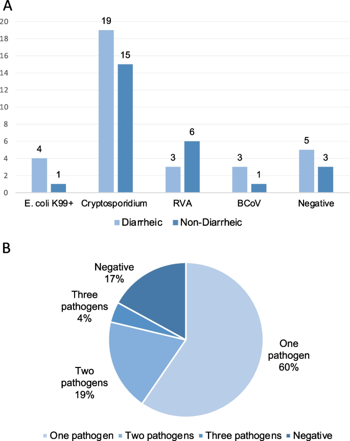 type of research quantitative figure 1