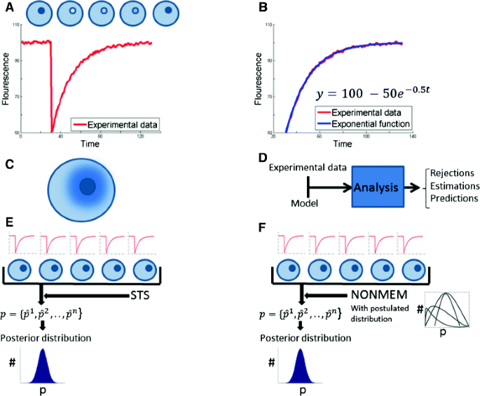 additive and proportional error nonmem with random effect