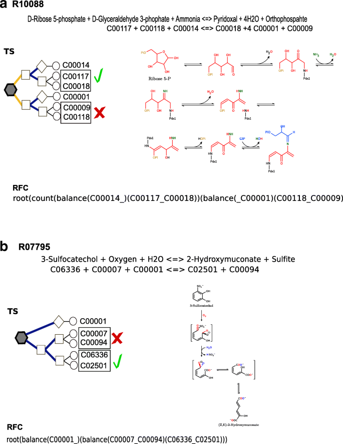 Identification Of Reaction Organization Patterns That Naturally Cluster Enzymatic Transformations Bmc Systems Biology Full Text