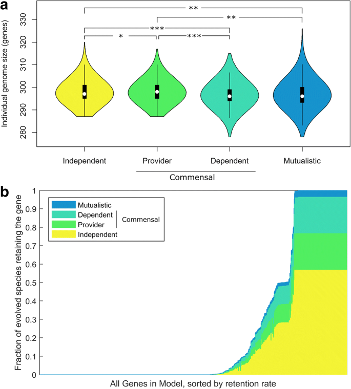 Genome-driven evolutionary game theory helps understand the rise of  metabolic interdependencies in microbial communities