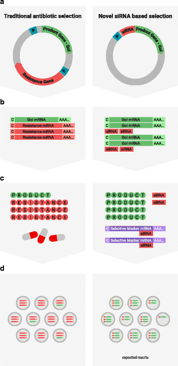 figure 55