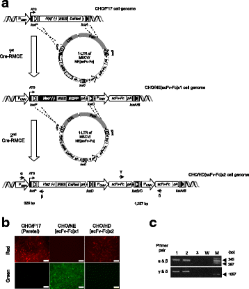 figure 77