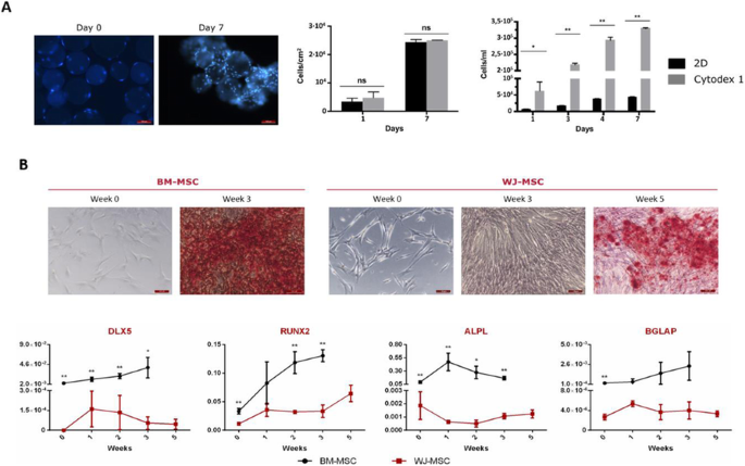 figure 25