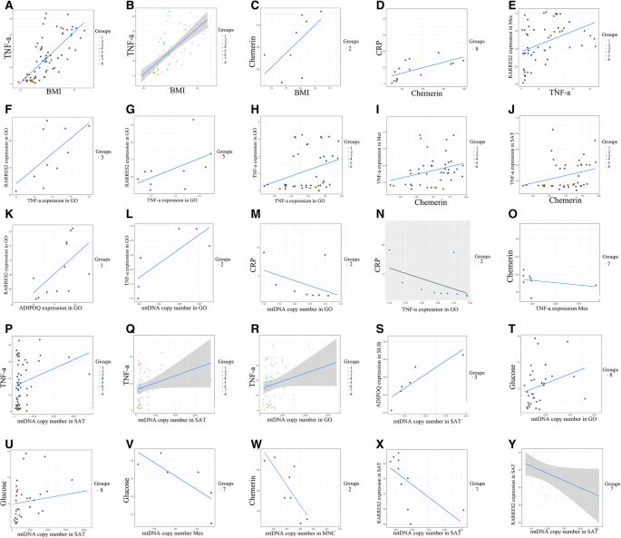 Interrelation Of Chemerin And Tnf A With Mtdna Copy Number In Adipose Tissues And Blood Cells In Obese Patients With And Without Type 2 Diabetes Bmc Medical Genomics Full Text