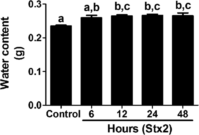 Shiga toxin 2 from enterohemorrhagic Escherichia coli induces reactive  glial cells and neurovascular disarrangements including edema and lipid  peroxidation in the murine brain hippocampus | Journal of Biomedical  Science | Full Text