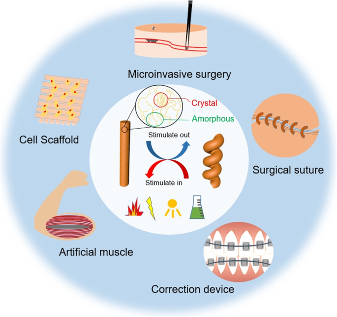 Smart polymers for cell therapy and precision medicine | Journal ...
