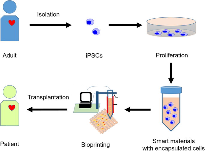 Smart polymers for cell therapy and precision medicine | Journal ...