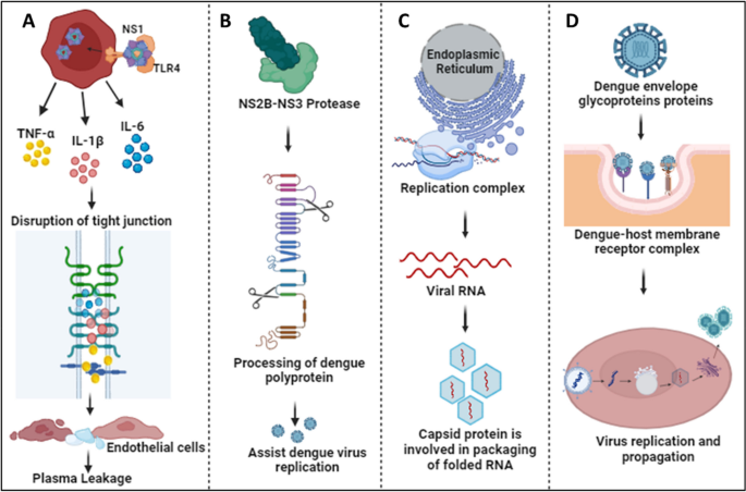 case presentation of dengue virus figure 2