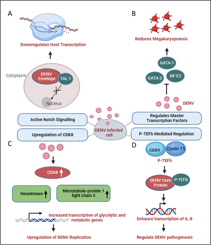 case presentation of dengue virus figure 4