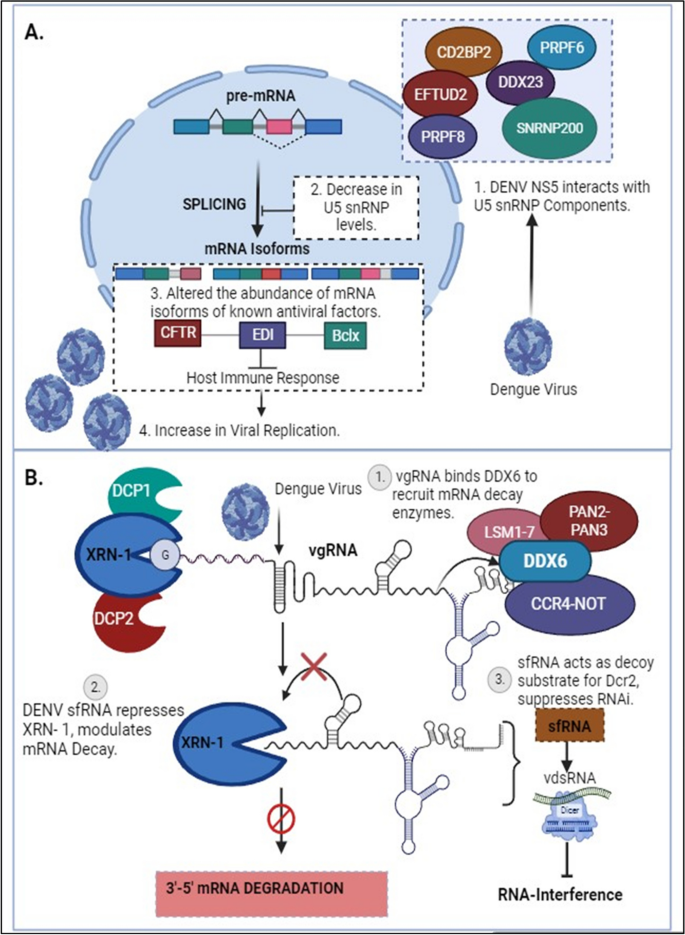 case presentation of dengue virus figure 5