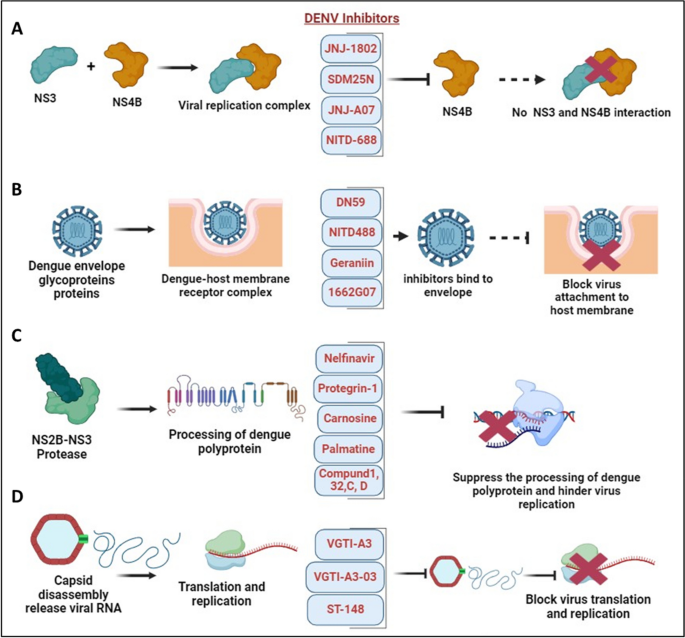 case presentation of dengue virus figure 8