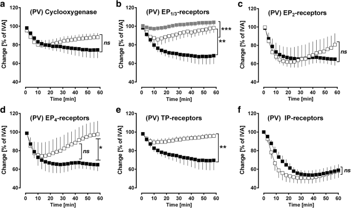 Pdgf Regulates The Pulmonary Vascular Tone Impact Of Prostaglandins Calcium Mapk And Pi3k Akt Mtor Signalling And Actin Polymerisation In Pulmonary Veins Of Guinea Pigs Respiratory Research Full Text Pdgf Regulates The Pulmonary Vascular Tone Impact Of Prostaglandins Calcium Mapk And Pi3k Akt Mtor Signalling And Actin Polymerisation In Pulmonary Veins Of Guinea Pigs Respiratory Research Full Text