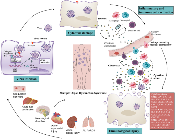 From Sars And Mers To Covid 19 A Brief Summary And Comparison Of Severe Acute Respiratory Infections Caused By Three Highly Pathogenic Human Coronaviruses Respiratory Research Full Text