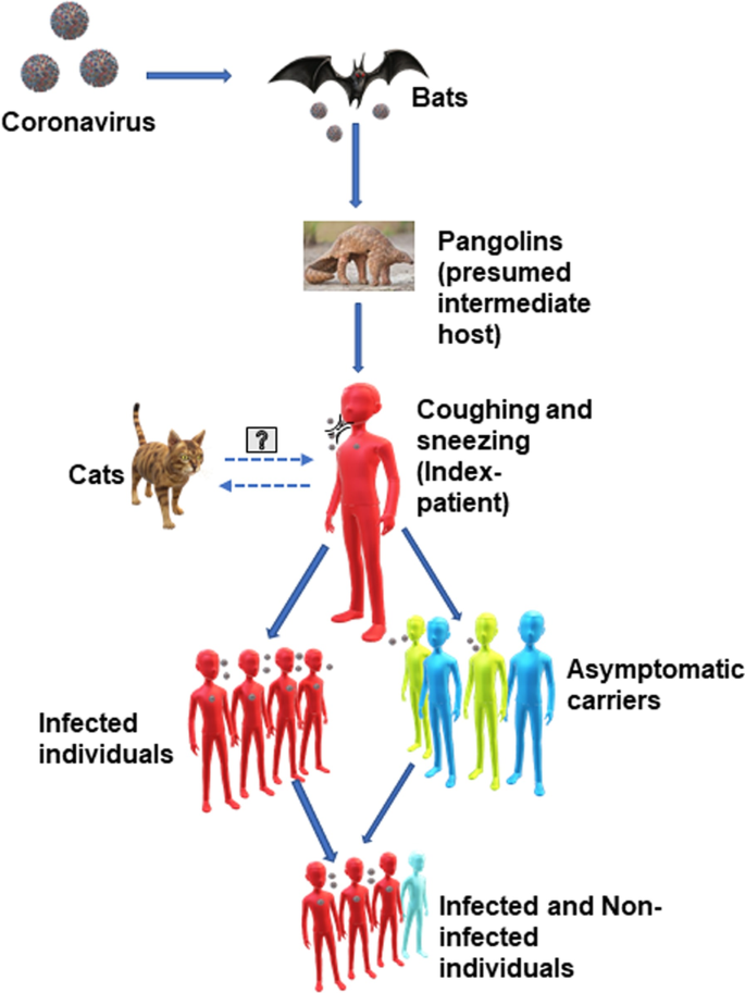 secvenţă Catastrofă mărimea Ciro tenace oricând feline coronavirus  incubation period - cathedralofmaryourqueen.org
