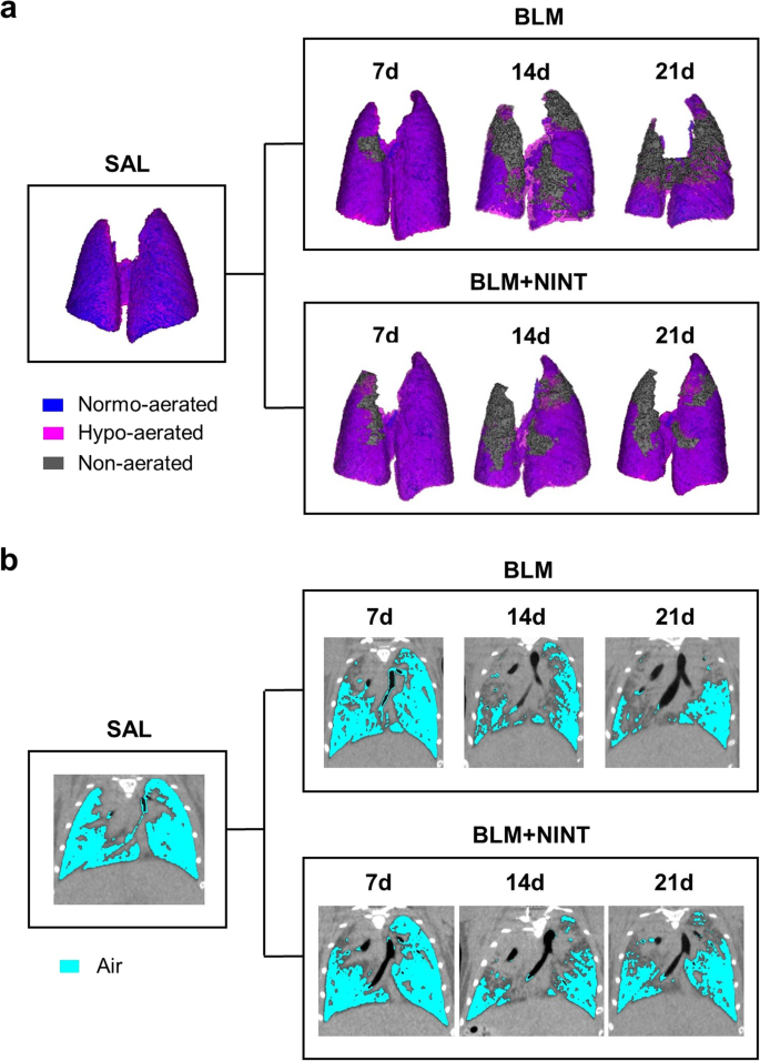 Deep learning-based segmentation of the thorax in mouse micro-CT scans