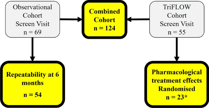 figura 2