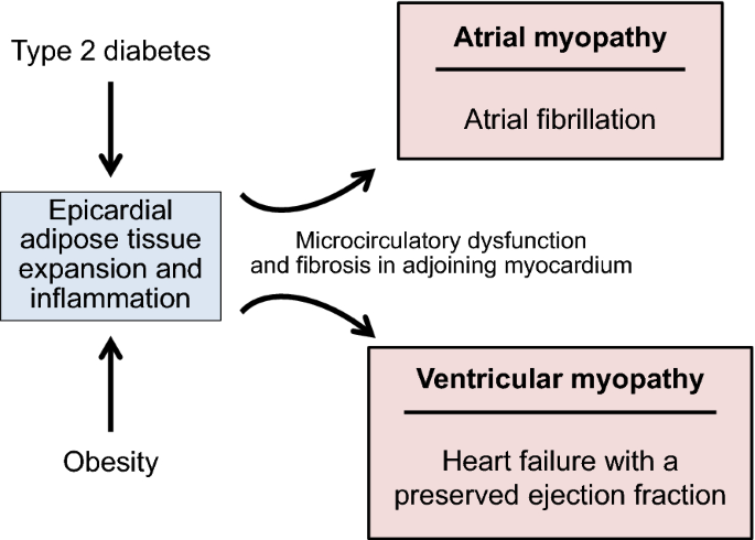 atrial fibrillation diabetes treatment