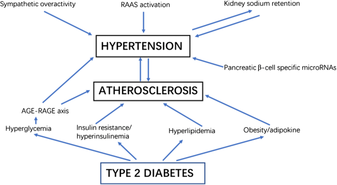 type 1 diabetes and hypertension