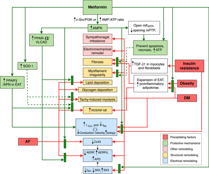 can diabetes cause supraventricular tachycardia