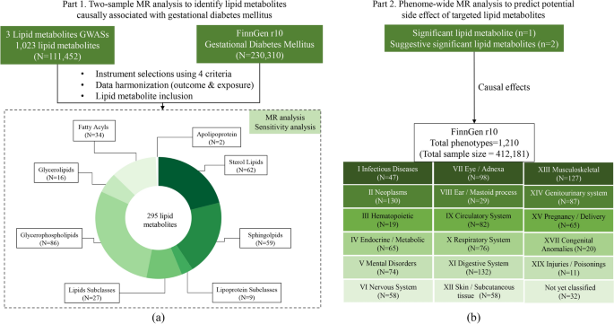 Mendelian randomization analysis reveals causal effects of blood ...