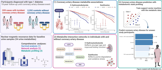 Urinary metabolomics provide insights into coronary artery disease in ...