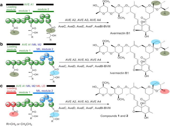 buy stromectol ivermectin