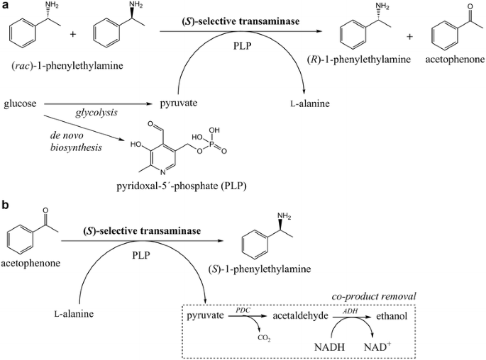 Improvement Of Whole Cell Transamination With Saccharomyces Cerevisiae Using Metabolic Engineering And Cell Pre Adaptation Microbial Cell Factories Full Text