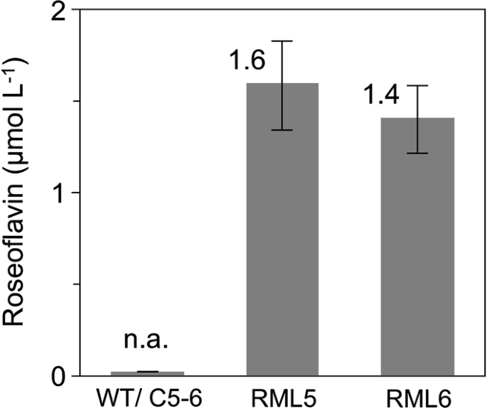 Metabolic Engineering Of Roseoflavin Overproducing Microorganisms Microbial Cell Factories Full Text