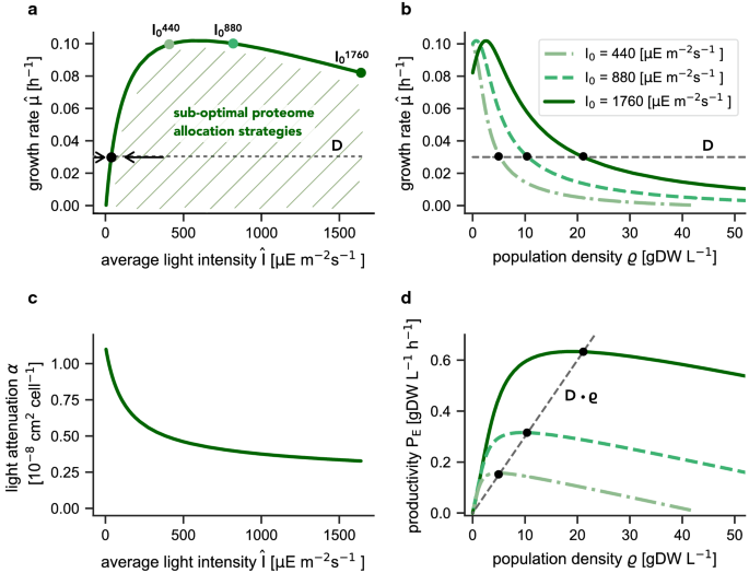 Optimal Proteome Allocation Strategies For Phototrophic Growth In A Light Limited Chemostat Microbial Cell Factories Full Text