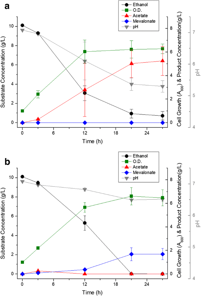Mevalonate Production From Ethanol By Direct Conversion Through Acetyl Coa Using Recombinant Pseudomonas Putida A Novel Biocatalyst For Terpenoid Production Microbial Cell Factories Full Text