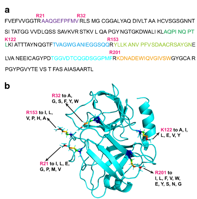 Improving Production Of Streptomyces Griseus Trypsin For Enzymatic Processing Of Insulin Precursor Microbial Cell Factories Full Text