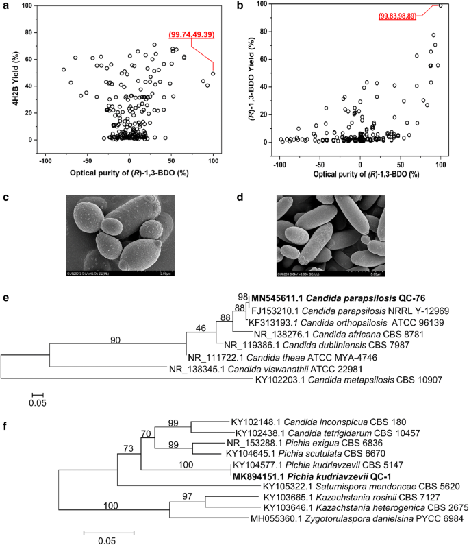 Highly Enantioselective Synthesis Of R 1 3 Butanediol Via Deracemization Of The Corresponding Racemate By A Whole Cell Stereoinverting Cascade System Microbial Cell Factories Full Text Highly Enantioselective Synthesis Of R 1 3 Butanediol Via Deracemization Of The Corresponding Racemate By A Whole Cell Stereoinverting Cascade System Microbial Cell Factories Full Text