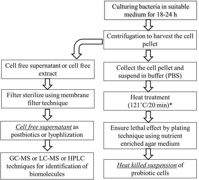 Postbiotics Parabiotics The New Horizons In Microbial Biotherapy And Functional Foods Microbial Cell Factories Full Text